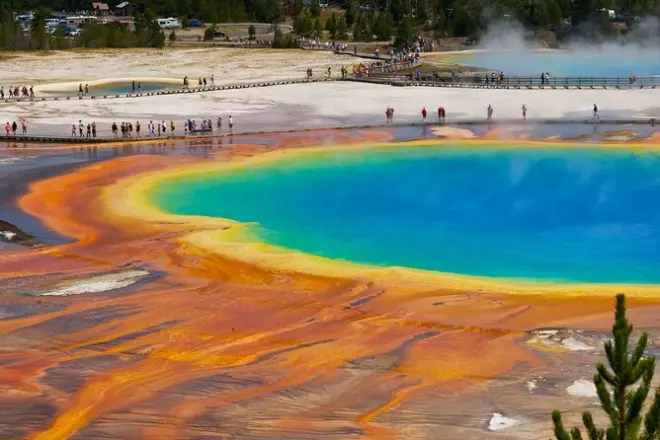 Yellowstone Private Tour: Old Faithful, Prismatic & Wildlife