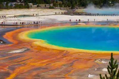 Yellowstone Private Tour: Old Faithful, Prismatic & Wildlife