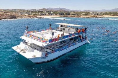 Inizia la giornata a cabo con una crociera all’arco di cabo san lucas e snorkeling nelle acque cristalline di chileno bay, con colazione messicana completa e open bar a bordo. attrezzatura inclusa.