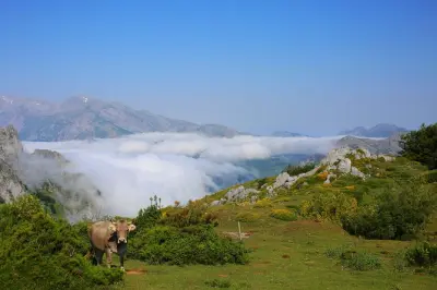 Picos de Europa ab Bilbao: Private 4WD-Tour mit Mahlzeiten