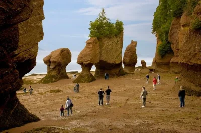 Feel the bay of fundy’s power at hopewell rocks, walk the ocean floor, catch both high & low tides, and join a guided walking tour. includes 2-day admission.