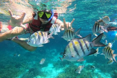 Esplora le barriere coralline di isla mujeres, visita il museo subacqueo musa e gusta ceviche in un tour snorkeling semi-privato con guida, attrezzatura, bevande e pranzo inclusi.