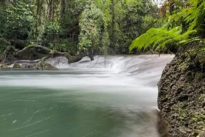 Swim with turtles, float in the blue lagoon, and wander lush cascades on this port vila day trip. includes lunch and local guide. pickup available for cruise visitors.