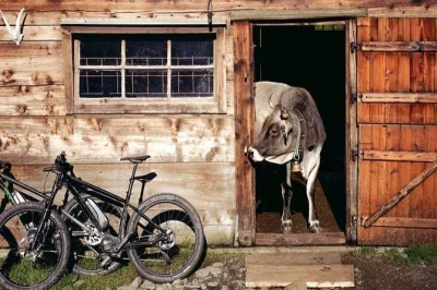 Recorre en e-bike desde sorrento hasta massa lubrense, prueba mozzarella fresca en una granja familiar, disfruta vinos locales y limoncello casero. incluye guía, degustación y bicicletas.