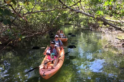 Step into the upper keys for a guided kayak eco tour—glide past mangroves, watch for manatees, and spot dolphins with a local guide. includes all gear and coaching.