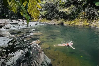 Feel the mist of el yunque’s waterfalls, climb yocahu tower, and swim in mountain rivers—includes hotel pickup, local guide, and forest entry from san juan.