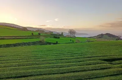 5 cascades et côte nord de São Miguel depuis Ponta Delgada