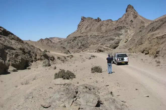 Namib-Wüste Tour: Welwitschia-Pflanzen & wandernde Dünen