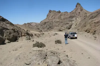 Namib-Wüste Tour: Welwitschia-Pflanzen & wandernde Dünen