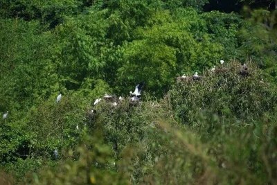 Entdecke cuc phuong und ninh binh: wanderungen durch grüne pfade, seltene languren beobachten, picknick im wald – inklusive klimatisiertem transport und eintritt.