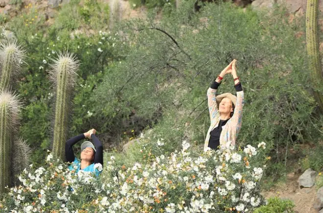 Elqui Valley wellness walk: Guided sound healing for two