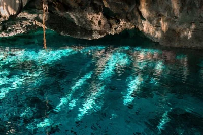 Swim in five secluded cenotes near playa del carmen, guided by locals, with all transport and a fresh meal included. escape crowds and dive into hidden jungle pools.