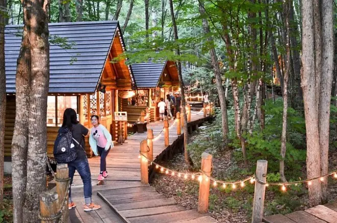 Hokkaido: Día en Asahiyama, Biei y Ningle Terrace