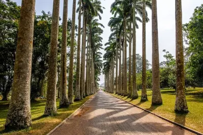 Journée privée aux jardins botaniques d’Aburi et chutes de Boti