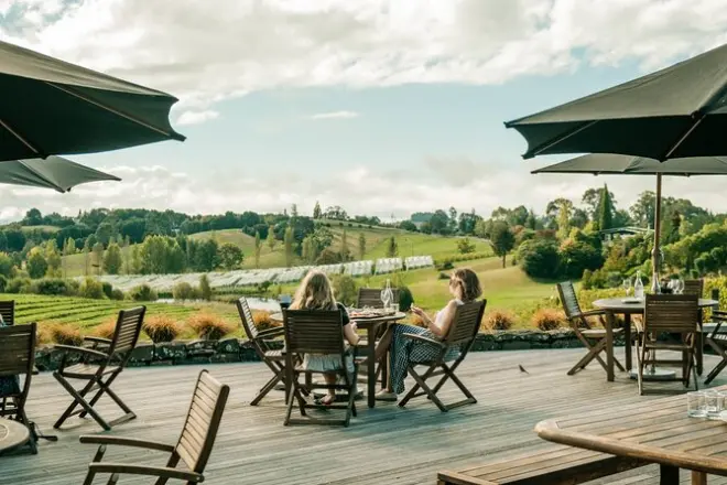 Nelson Wine Tour: Three Sub-Regions, Lunch Included