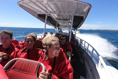 Rottnest island ab perth oder fremantle entdecken: fähre, wildlife-kreuzfahrt mit delfinen & robben plus zeit zum schwimmen und radfahren. mit lokalem guide.