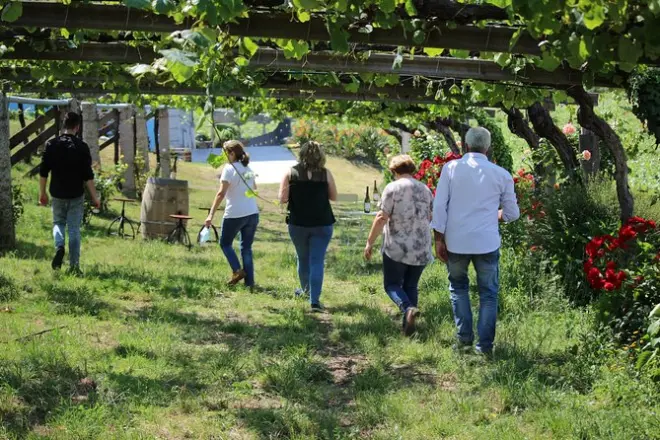 Bodegas Granbazán: Tour y cata de Albariño con paseo por el viñedo