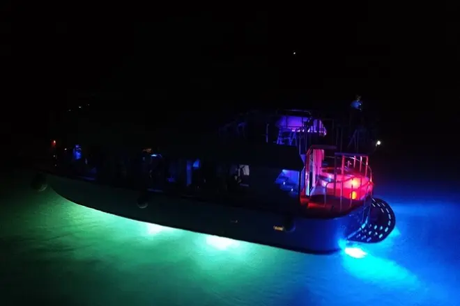 Bermuda Triangle Twilight Cruise: Glass-Bottom Night Viewing