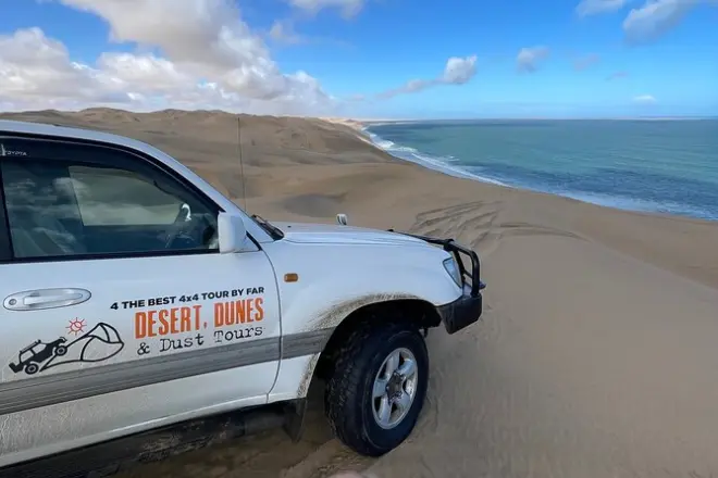 Sandwich Harbour et welwitschia : Conduite sur dunes et faune