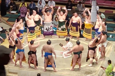 Vivez l’ambiance unique des tournois de sumo à tokyo ou osaka. réservez votre place avec entrée incluse et plongez au cœur de la culture sportive japonaise, sans guide, juste l’excitation loca