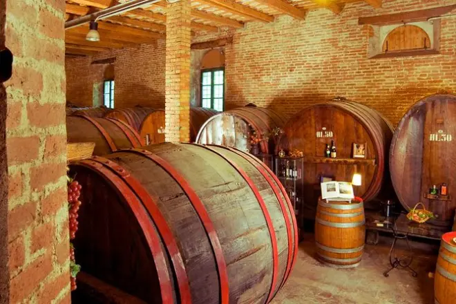 Tour y cata de vinos en la bodega más antigua de Le Marche