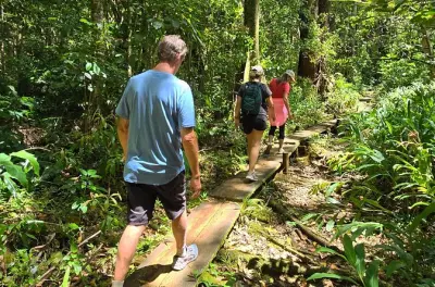 Oahu Rainforest Hiking: Private Manoa Trail with Mountain Views