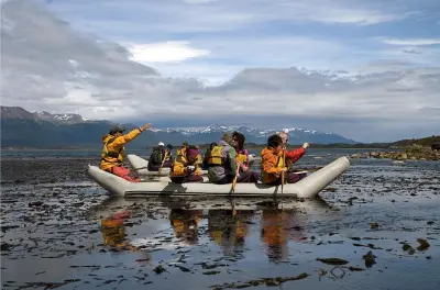Tour en kayak por el canal Beagle: Isla Gable y pingüinos