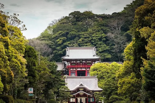 Kamakura: Gran buda e historia samurái con guía