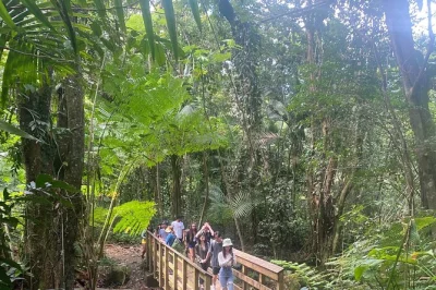 Feel the mist at el yunque, climb yokahu tower, hike rainforest trails, and swim in a wild river—all with pickup from san juan and entrance tickets included.