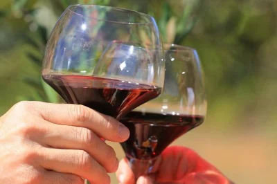 Sip rhône wines among châteauneuf du pape vineyards, stroll hilltop villages, and enjoy a leisurely lunch—all with pickup from avignon and a local wine guide.