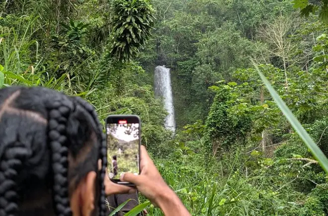 Kingston zu den Blue Mountains: Kaffeeplantage und Wasserfall