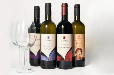 Dégustation de vins à la Colombina Agricultural Company à Pesaro