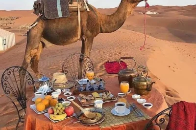 Descubre marruecos en 15 días desde casablanca. visita fes, marrakech, chefchaouen, paseo en camello por el sahara y más. guías privados y experiencias locales.