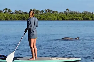 Kayak sul fiume Indian River: Pagaia con delfini e lamantini