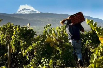 Weintour Mount Etna ab Syrakus: Drei Verkostungen mit Essen