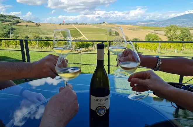 Montefalco visite de vignobles avec déjeuner à la ferme : 2 domaines