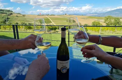 Tour de vinho em Montefalco com almoço na fazenda: 2 vinícolas