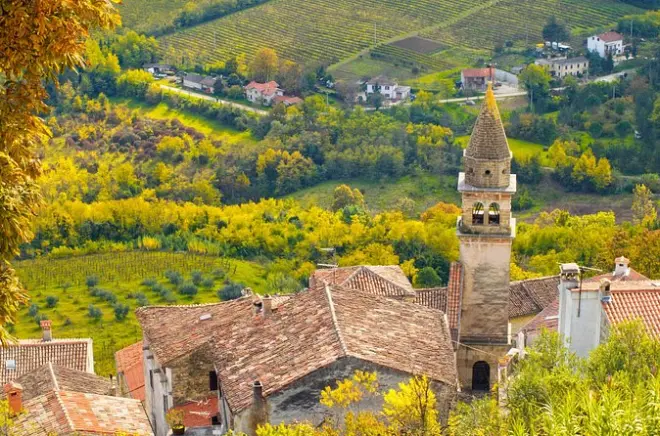 Motovun Half-day Tour: Medieval Town & Grappa Tasting