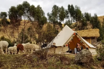 Vive un glamping sostenible en viacha, valle sagrado. conoce a los locales, observa alpacas y participa en actividades culturales andinas. excursión de 2 días cerca de cusco.