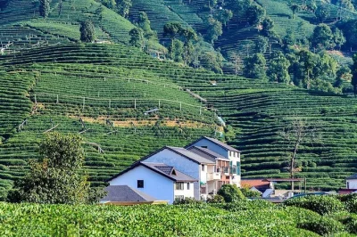 Wake up in shanghai, sip tea in meijiawu, walk west lake’s edge and explore lingyin temple—all with a private guide and bullet train tickets included.