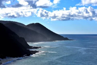 Start your great ocean road day trip from melbourne with early morning light, wildlife sightings, a guided rainforest walk, and local fish & chips lunch. includes hotel pickup.