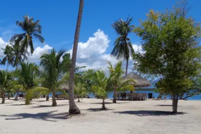 Snorkeling dans Honda Bay : Pambato Reef et île Luli