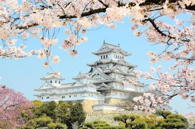 Feel the quiet power of himeji castle, stroll koko-en garden, and choose your own sites on this private half-day tour with a licensed guide. includes flexible pickup.