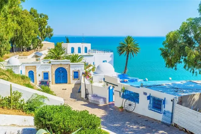 Private day tour: Sidi Bou Said, Carthage, Hammamet from Sousse