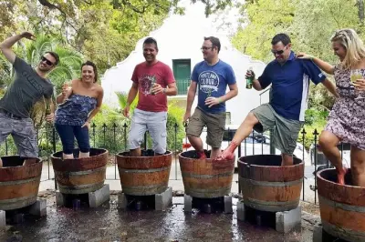 Tour del vino a Stellenbosch: Quattro tenute con degustazioni