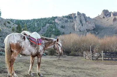 Cavalgada perto de Bariloche: Dia inteiro na Estancia San Ramón
