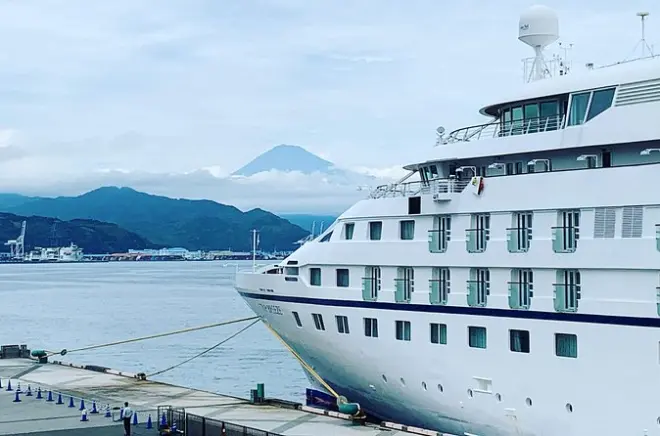 Da Shimizu: Monte Fuji, santuario e campi di tè in tour privato