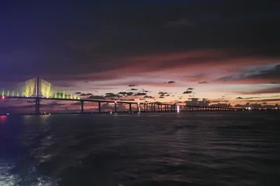 Erlebe die frische brise bei einer sonnenuntergangs-bootstour ab st. pete pier, vorbei an der sunshine skyway bridge mit wein, bier und delfinbeobachtungen – toilette an bord inklusive.
