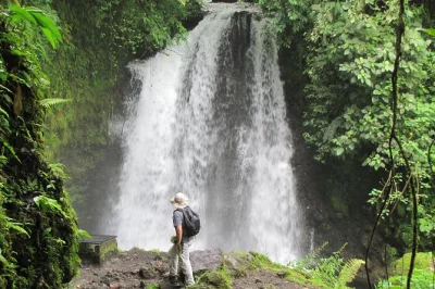 Découvrez le lodge arenal observatory avec un pass journée. baladez-vous dans la forêt, observez la faune, montez à la tour nest et profitez de la cascade danta. idéal pour les amoureux de la nat