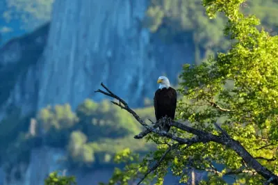 Seward Wilderness Wandern: Versteckte Pfade mit lokalem Guide